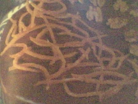 gateau choc-noix