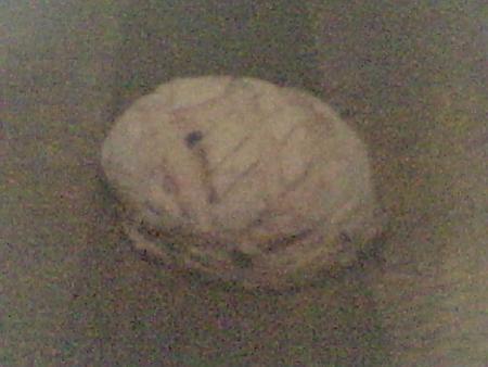 pain aux muselis