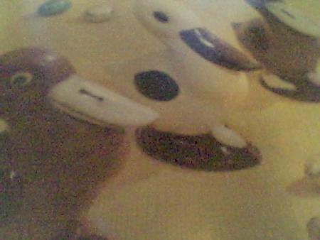 canarsen chocolat