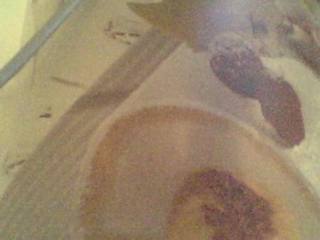 buche en glace